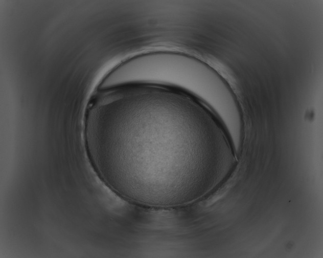X0000091451334200708301802