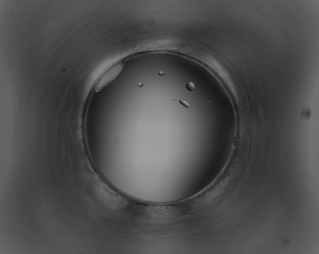 X0000091451336200708301802