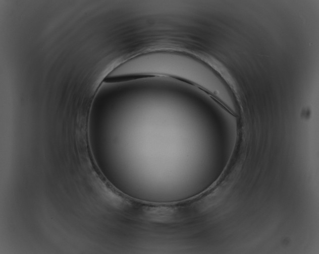 X0000091451337200708301802