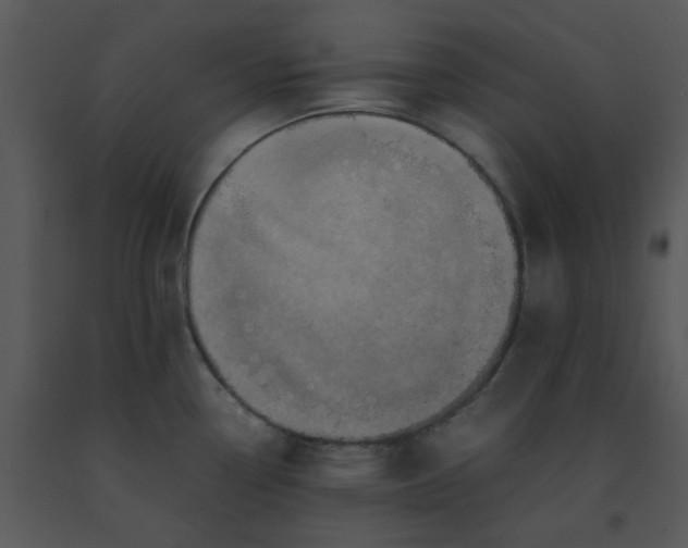 X0000091451338200708301802