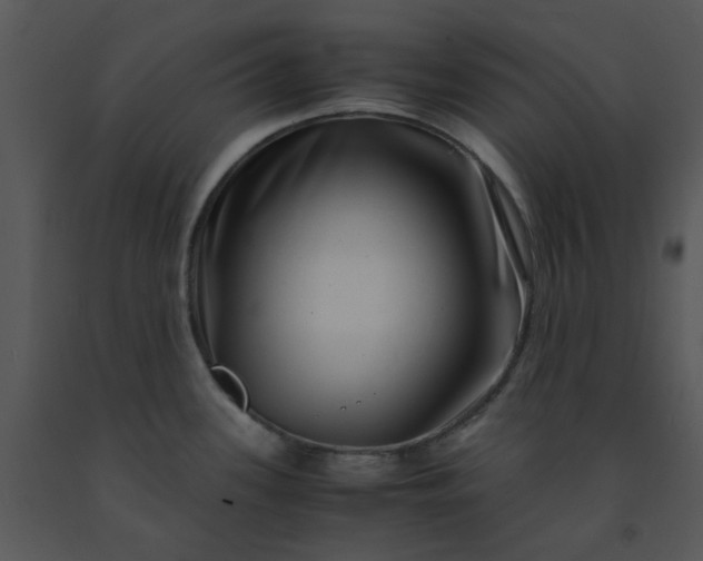 X0000091451339200708301802