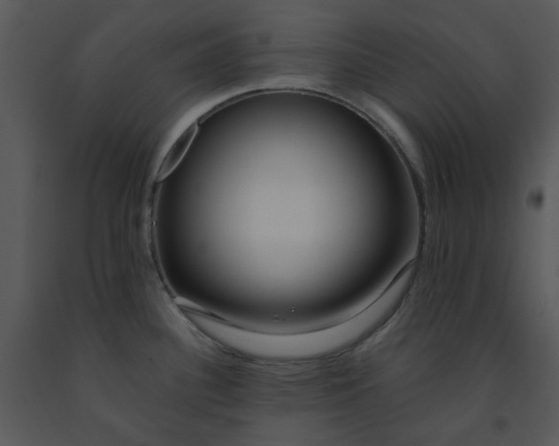 X0000091451340200708301802
