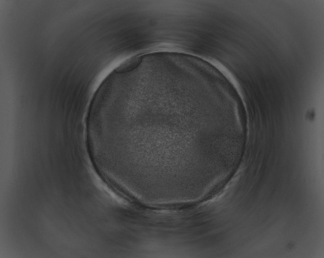 X0000091451341200708301802