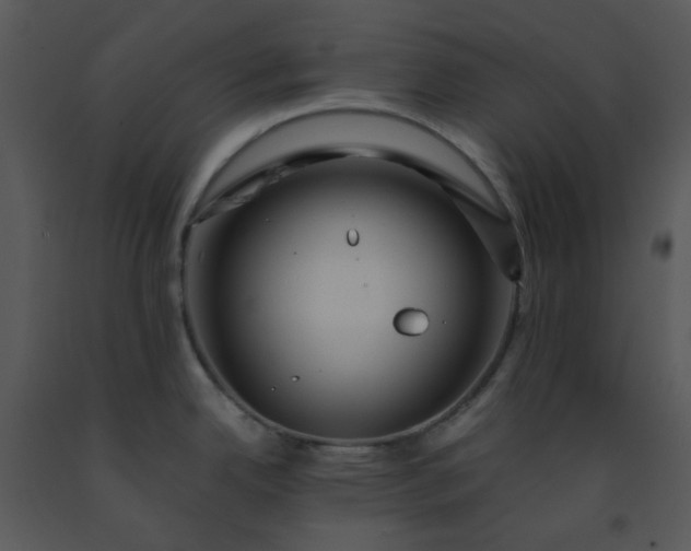 X0000091451342200708301802