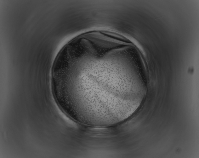 X0000091451343200708301802