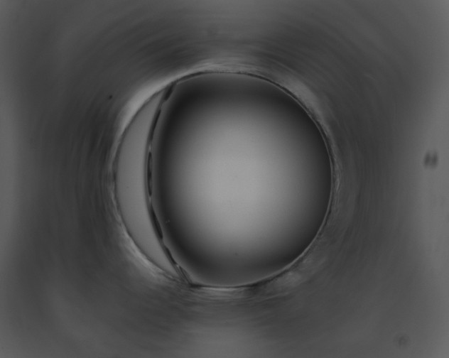 X0000091451344200708301802
