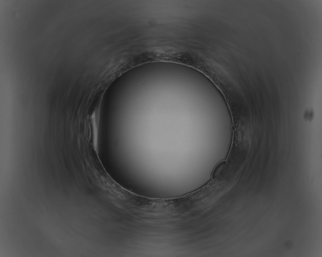 X0000091451346200708301802