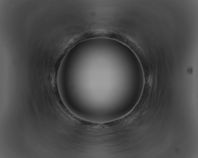 X0000091451348200708301802