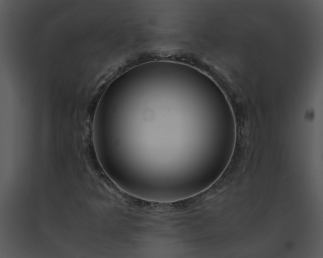 X0000091451349200708301802