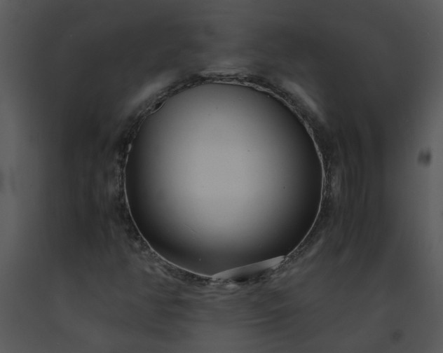 X0000091451350200708301802