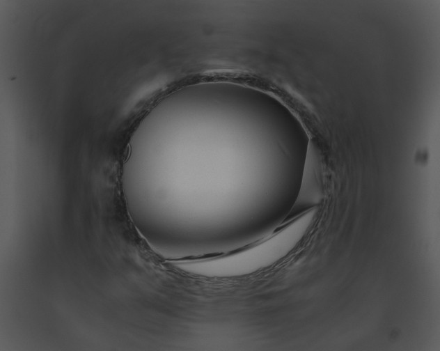 X0000091451351200708301801