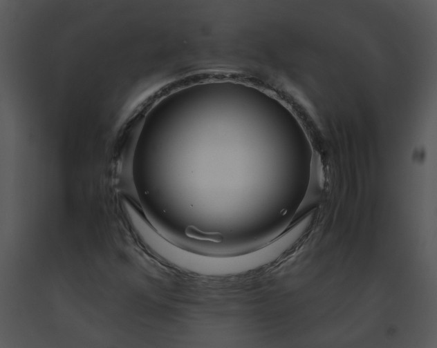 X0000091451352200708301801