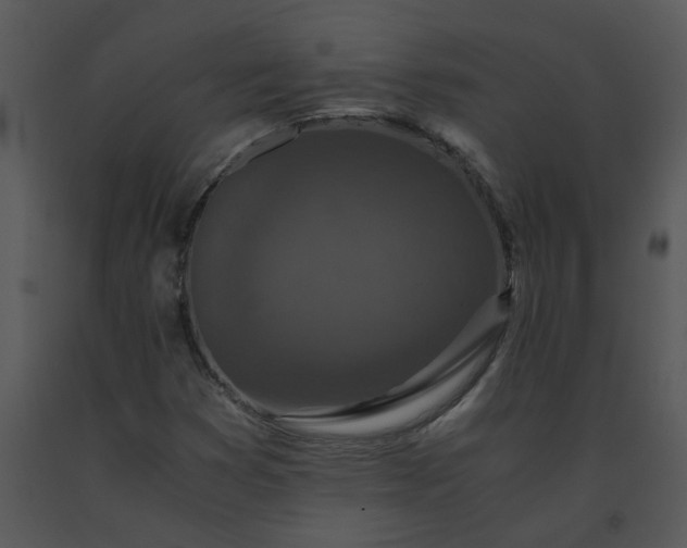 X0000091451353200708301801