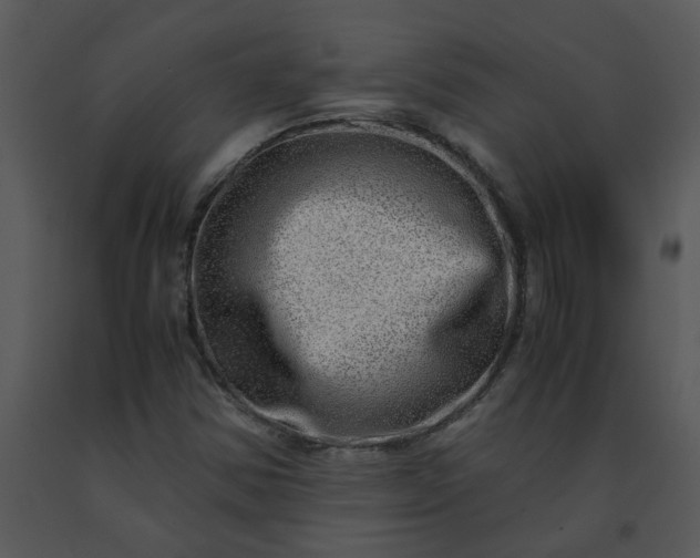 X0000091451354200708301801