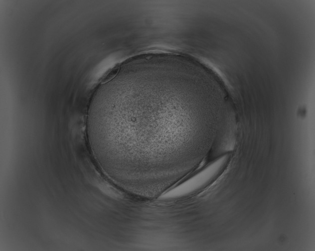 X0000091451355200708301801