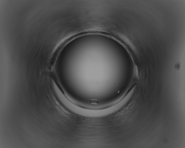 X0000091451356200708301801