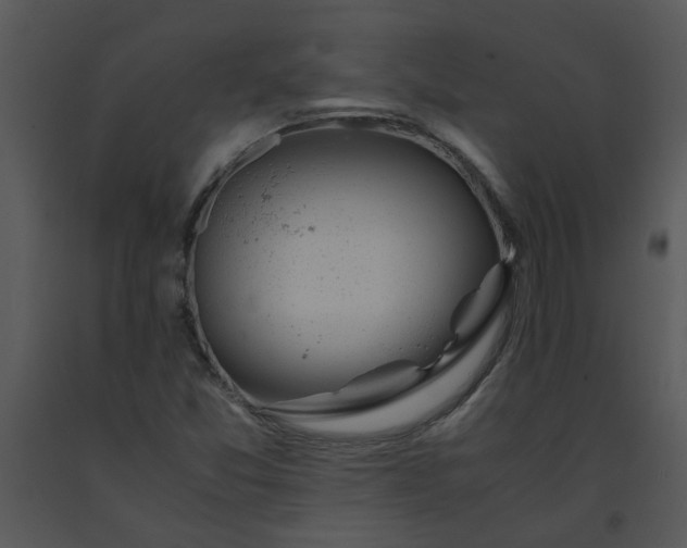 X0000091451357200708301801