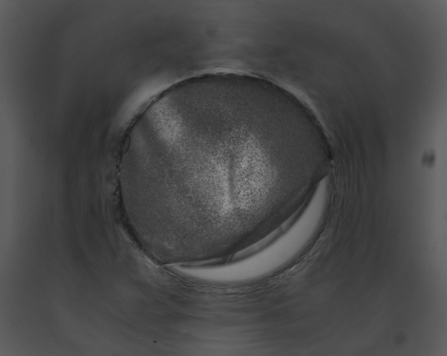 X0000091451359200708301801