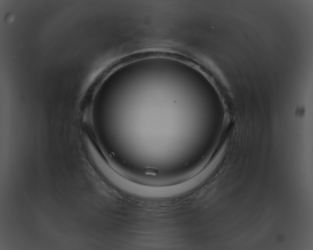 X0000091451360200708301801