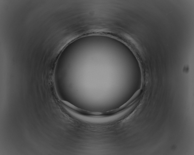 X0000091451361200708301801