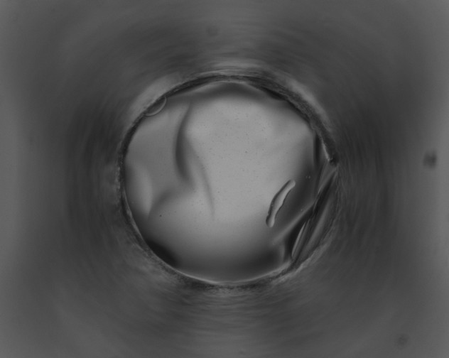 X0000091451362200708301801