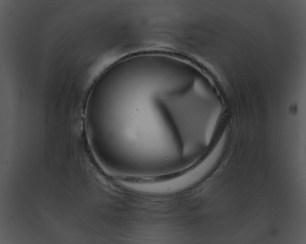 X0000091451363200708301801