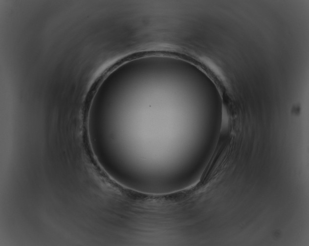 X0000091451364200708301801