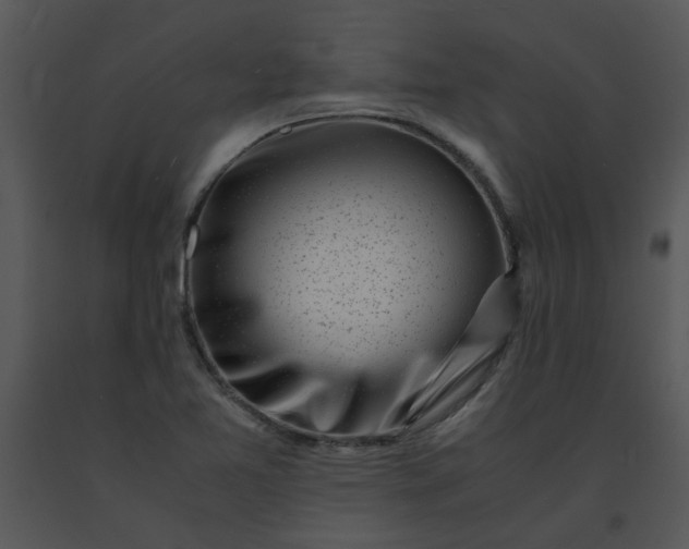 X0000091451365200708301801