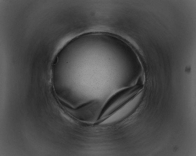 X0000091451366200708301801