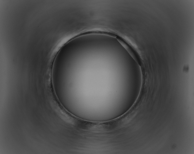 X0000091451367200708301801