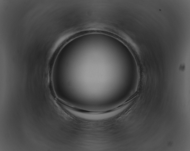 X0000091451368200708301801