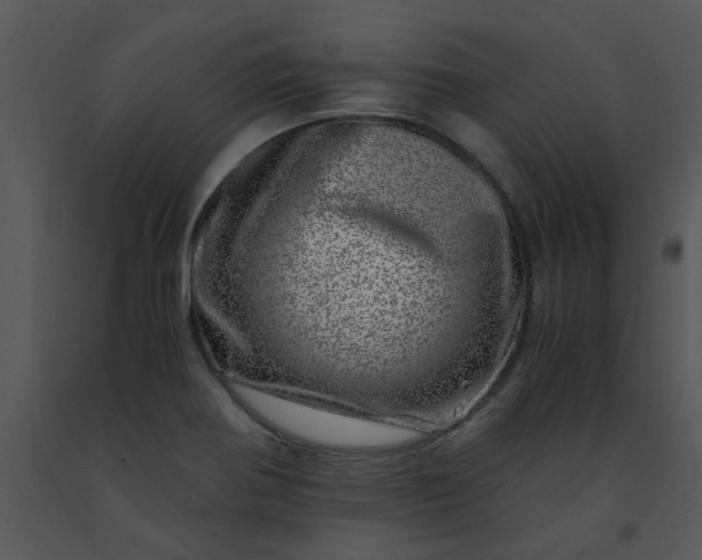 X0000091451370200708301801