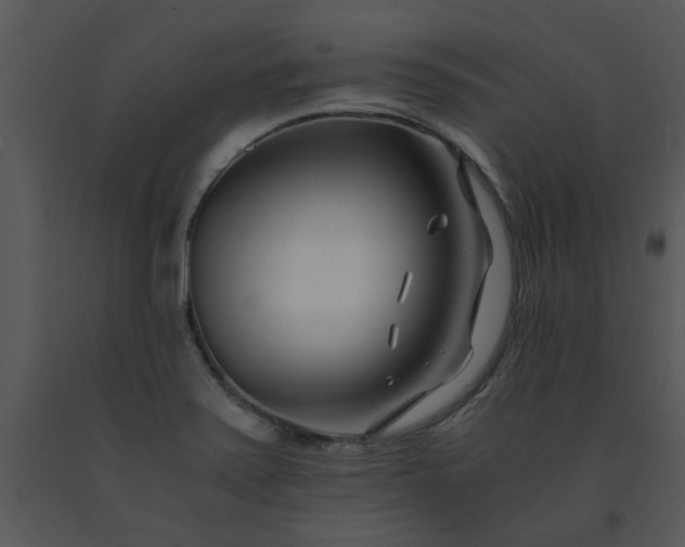 X0000091451371200708301801