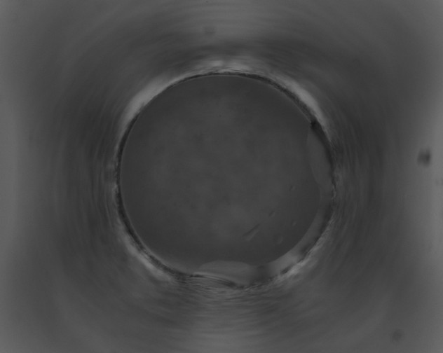 X0000091451373200708301801