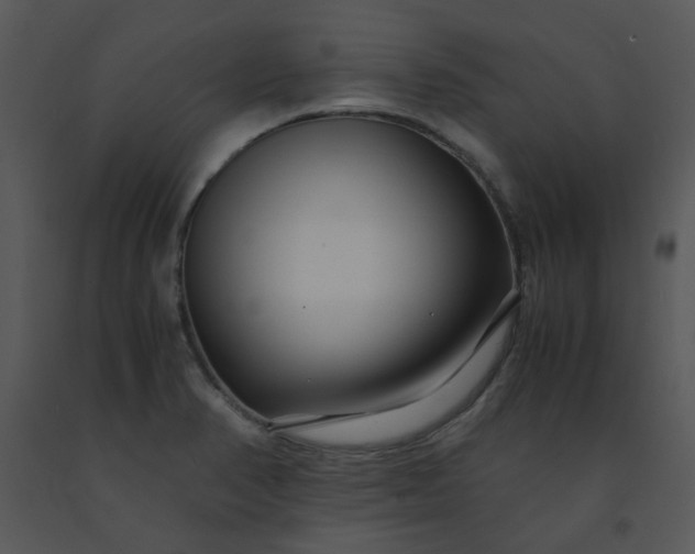 X0000091451374200708301801