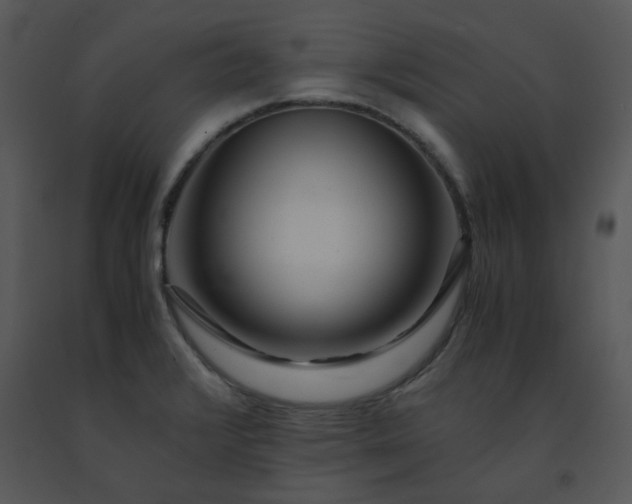 X0000091451376200708301801