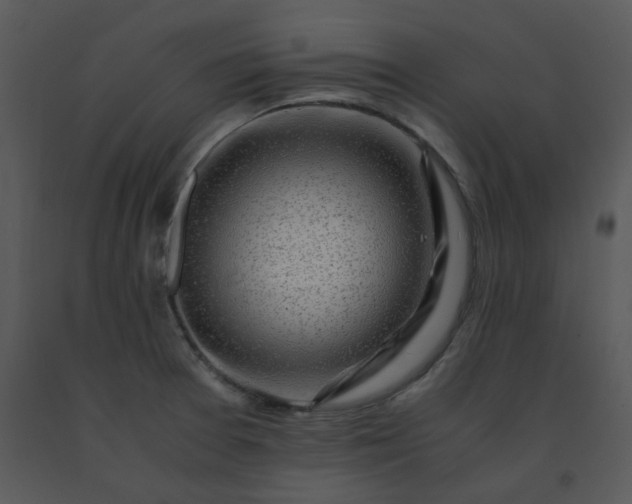 X0000091451377200708301801
