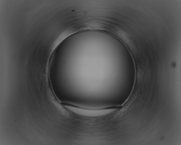 X0000091451378200708301801