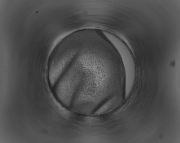 X0000091451379200708301801