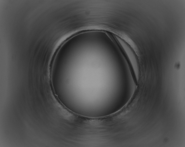 X0000091451380200708301801