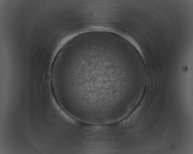 X0000091451381200708301801