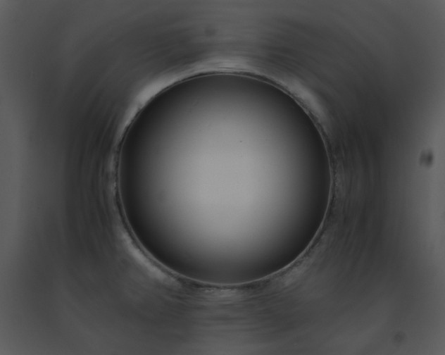 X0000091451382200708301801