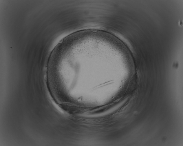 X0000091451383200708301801