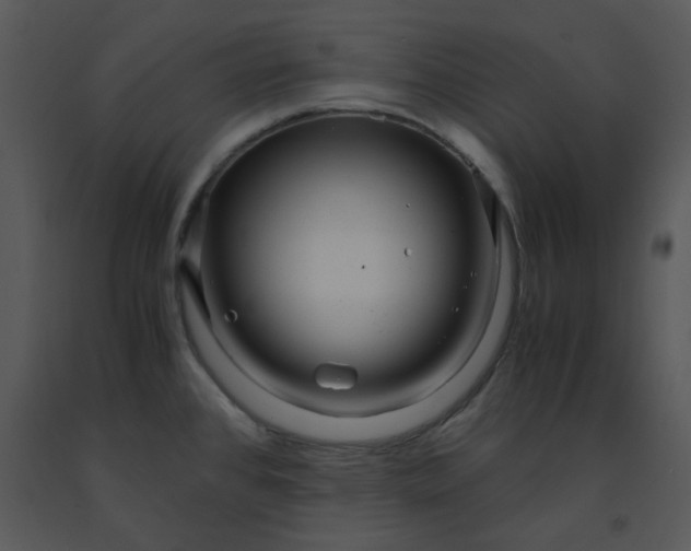 X0000091451384200708301801