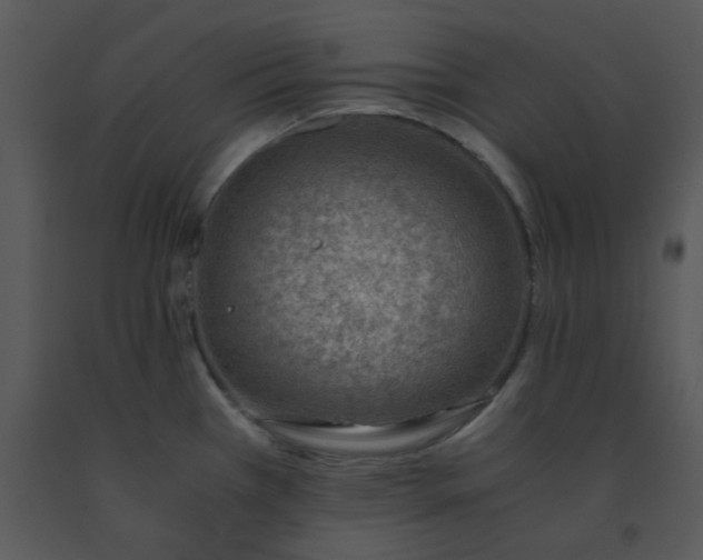 X0000091451385200708301801
