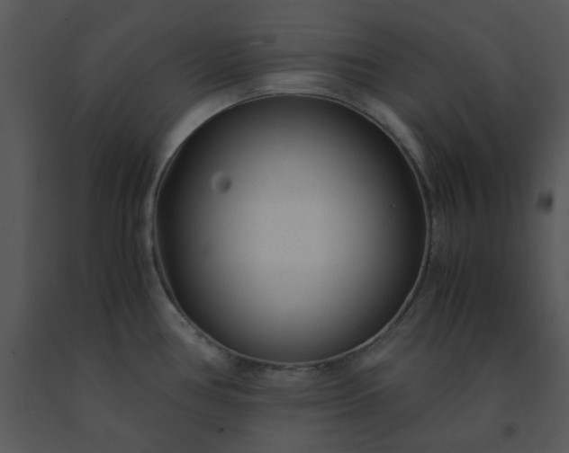 X0000091451386200708301801