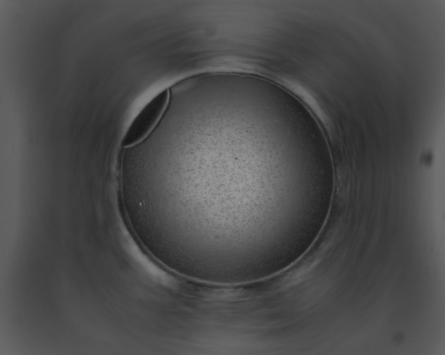 X0000091451387200708301801