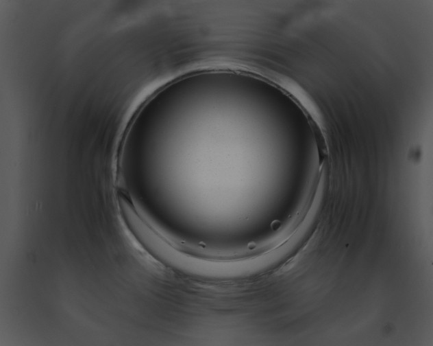 X0000091451388200708301801