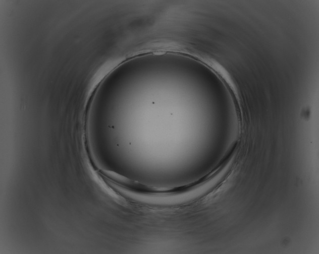X0000091451389200708301801