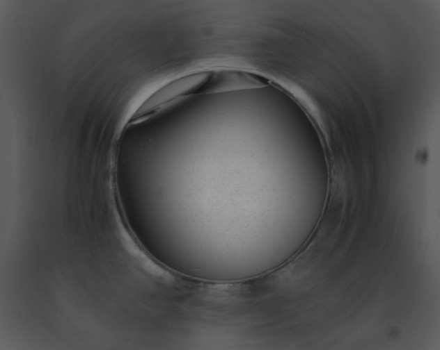 X0000091451390200708301801